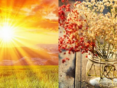 Đúng ngày đại cát 2/2 âm lịch: Làm 5 việc này, cả năm tài lộc hanh thông, ai cũng nên biết