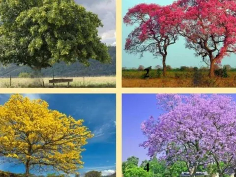 Trắc nghiệm thú vị: Khám phá bạn sẽ giàu thứ gì nhất trong tương lai