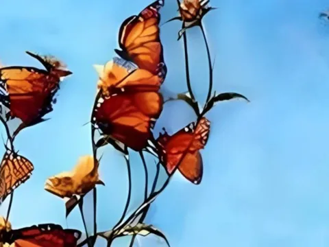 Trắc nghiệm hình ảnh: Điều bạn nhìn thấy đầu tiên tiết lộ bước ngoặt tương lai chính xác bất ngờ