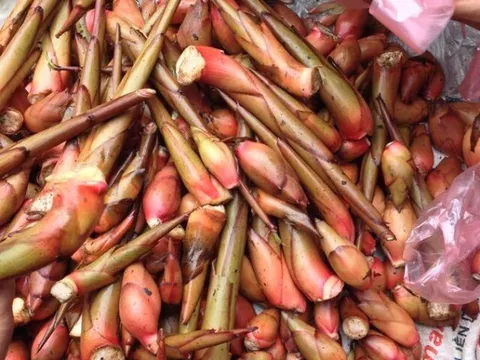 Thứ xưa người nghèo ăn "cứu đói", nay thành đặc sản vùng cao được ưa chuộng trong nhà hàng, hương vị đặc biệt