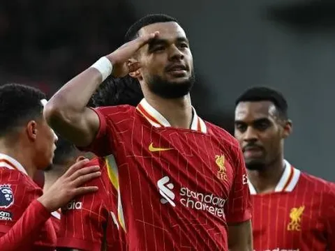 Đá thay Salah, Gakpo phải tỏa sáng nếu không muốn rời Liverpool