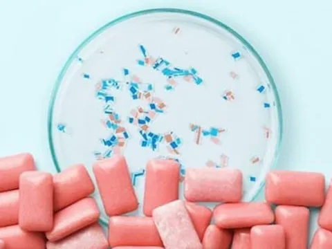 5 loại thực phẩm chứa nhiều vi nhựa nhất, loại đầu tiên khiến người Việt bất ngờ