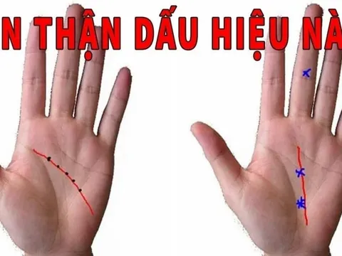 Bàn tay có 4 nét tướng này dù tài ba tới mấy cũng khó thoát nghèo