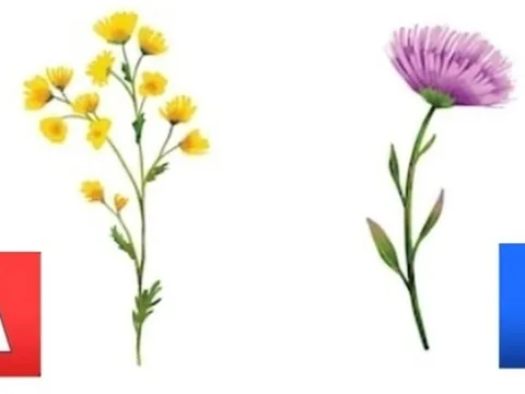 Trắc nghiệm tâm lý: Khám phá tương lai mười năm tới của bạn chính xác nhất