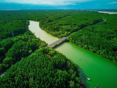 Nơi nào được mệnh danh “lá phổi xanh” ở TP.HCM, vừa có rừng vừa có biển, nổi tiếng với đặc sản thơm ngon?