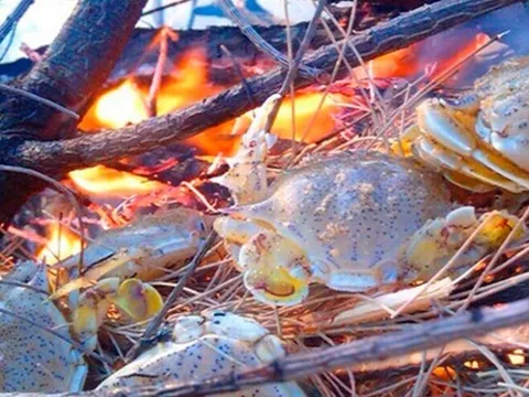 Đặc sản có tên kỳ cục, ngon hơn ghẹ rẻ hơn cua được du khách "săn lùng", muốn ăn nhất định phải đến nơi này