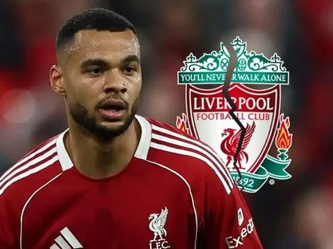 Cody Gakpo rời Liverpool là kết cục tất yếu