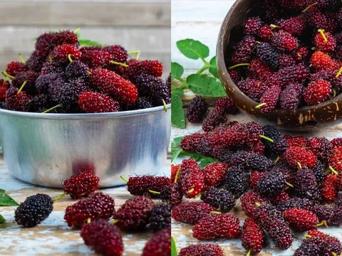 4 công thức nước dâu tằm giúp cải thiện làn da từ bên trong một cách tự nhiên