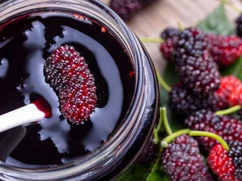 Cách uống nước dâu tằm bổ sung chất chống oxy hóa, giúp da trắng sáng, hồng hào