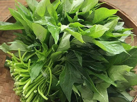 Không phải rau đắt tiền: Nhóm rau “ít thuốc trừ sâu” nên mua ngoài chợ, vừa sạch vừa rẻ