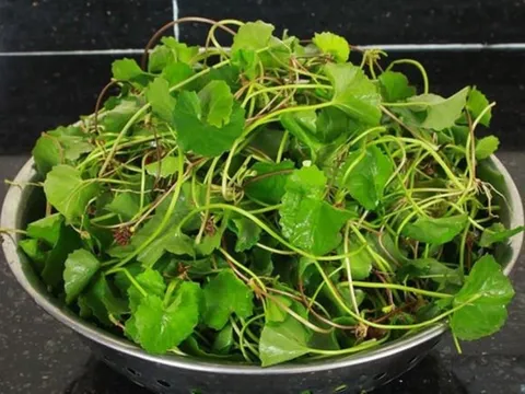 Top 5 loại rau củ giúp “giải nhiệt” gan, tăng cường thải độc tự nhiên