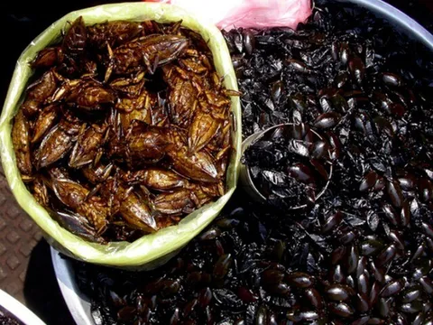 Ở Ninh Bình có món nhậu nhìn "nổi da gà" nhưng lại là đặc sản ngon nức tiếng, bao người muốn ăn thử