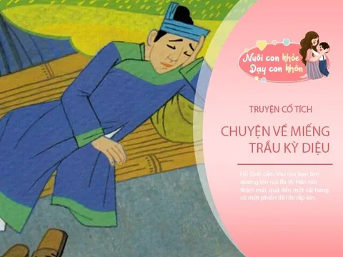 Truyện cổ tích: Miếng trầu kỳ diệu và giấc mộng của Hồ Sinh