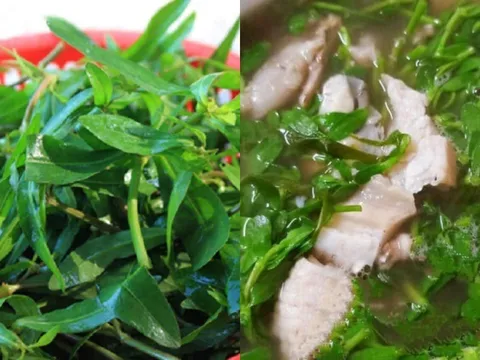 Cây dại ven bờ bỗng thành “đặc sản”: Loại rau lạ từng cho gia súc ăn, nay bán giá cao vẫn cháy hàng