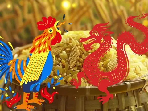 Năm 2026: Gặp đúng người đúng thời điểm, 3 con giáp “nước lên thuyền lên”, hợp tác là bật mạnh