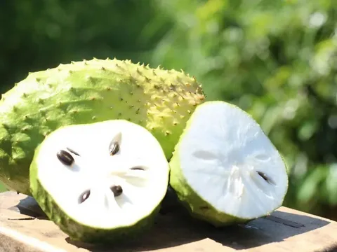 12 loại quả giàu dinh dưỡng, có loại vitamin C gấp 20 lần quả táo, chợ Việt bán đầy với giá từ 15.000 đồng/kg