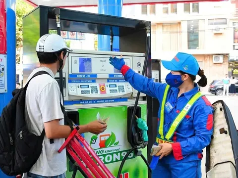 Bảng giá xăng hôm nay 25/3/2026: Đồng loạt giảm mạnh