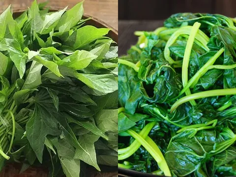 Loại rau rẻ bèo ngoài chợ Việt: Ăn đều đặn mới biết giá trị thật sự với sức khỏe