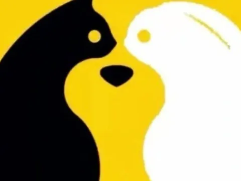 Trắc nghiệm thị giác: Bạn nhìn thấy hình ảnh nào đầu tiên?