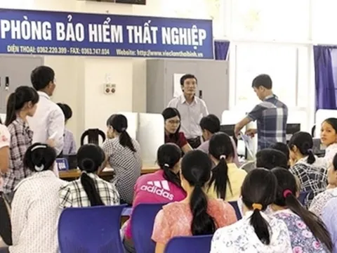 Có 13 trường hợp người lao động bị chấm dứt hưởng trợ cấp thất nghiệp