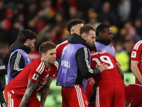 Bosnia chấm dứt giấc mơ World Cup của Xứ Wales sau loạt luân lưu