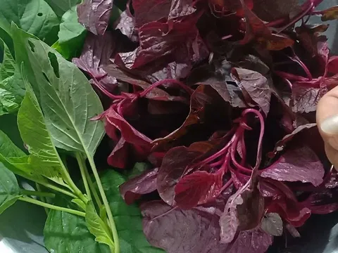 Những người không nên ăn rau dền