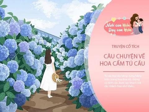 Truyện cổ tích: Sự tích hoa cẩm tú cầu