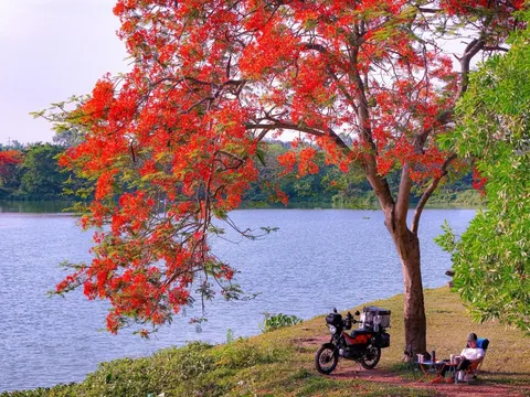 Lập Hạ 2026 vào ngày bao nhiêu?