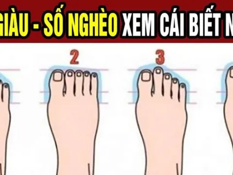 Tướng bàn chân giàu có: Đường đời trải hoa hồng