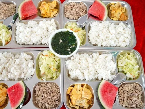 Vụ 300 tấn thịt lợn bệnh tuồn vào trường học: Lợn mắc dịch tả châu Phi có lây sang người khi ăn, chỉ nguy hiểm khi nào?