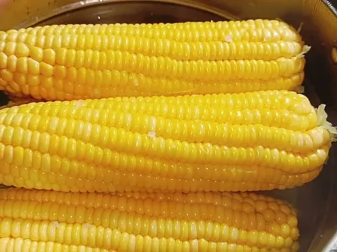 Luộc ngô thêm thứ này vào nồi, ngô ngọt - dẻo - thơm