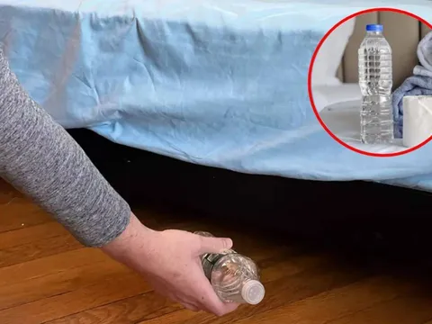 Nhận phòng khách sạn phải ném ngay chai nước vào gầm giường, đây là lý do