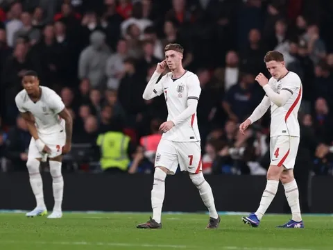 Lee Dixon mắng Palmer sau thất bại lịch sử của Anh