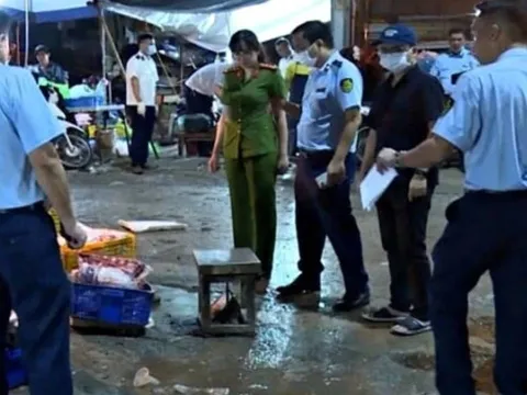 Vụ 300 tấn thịt lợn bệnh vào trường học: ăn phải lợn mắc dịch tả có bị lây không? Giải đáp mới nhất