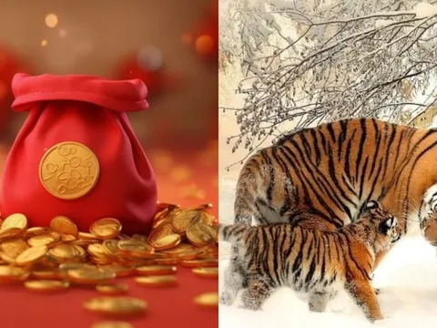 3 con giáp đổi vận từ 15/4, sang tháng 5 càng làm càng giàu, nửa cuối 2026 tài lộc ập tới không kịp đỡ