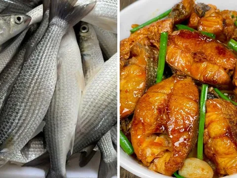 Loại cá giàu protein, ít chất béo bán đầy ngoài chợ: Đem kho với loại củ này ăn cực ngon