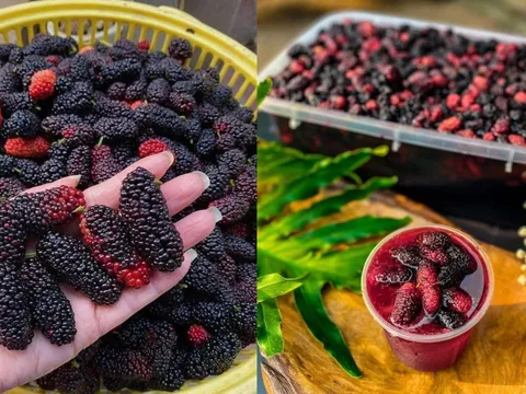 Mẹo ngâm dâu tằm để lâu không mốc hỏng, lên men