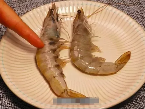 Người bán tôm nói thật: Muốn biết tôm nuôi và tôm tự nhiên hóa ra cực dễ