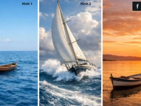 Trắc nghiệm tâm lý: Bạn thuộc tuýp người nỗ lực thay đổi cuộc sống hay chấp nhận số phận?