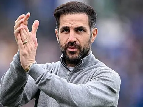 Materazzi tin Fabregas sẵn sàng dẫn dắt Man Utd