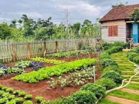 Muốn chuyển đất vườn sang đất thổ cư phải đóng những khoản tiền nào năm 2026?