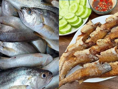 Từ cá “nhà nghèo” thành đặc sản xuất khẩu: Hành trình lột xác của cá lù đù