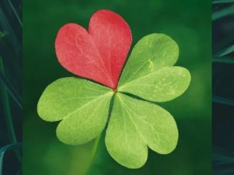 Từ tháng 4 đến tháng 6: 3 tuổi vượng quý nhân, làm việc lớn có người nâng đỡ