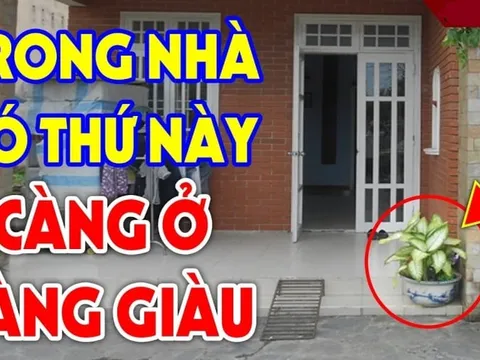 Nhà có 4 thức này càng ở càng nhiều Phúc - Đức- Tài - Lộc