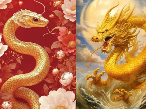 Thứ Ba, Tư (8-9/4) bứt tốc: 3 con giáp xoay chuyển thế cục, kéo cả đội vượt khó ngoạn mục