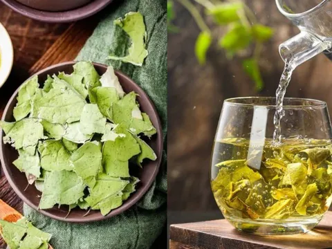 Uống nước lá sen, cơ thể nhận được 4 loại ích tuyệt vời