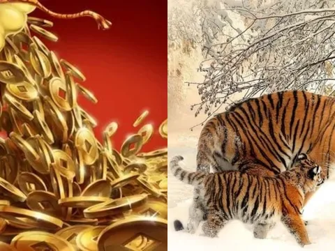 3 con giáp thời tới cản không kịp: Thứ Tư (8/4) vận đỏ rực, thứ Năm đến cuối tuần tiền đầy ví