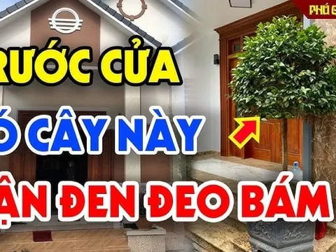 4 thứ mọc ở trong vườn hút cạn lộc may, nhổ ngay mà giữ Tiền tài