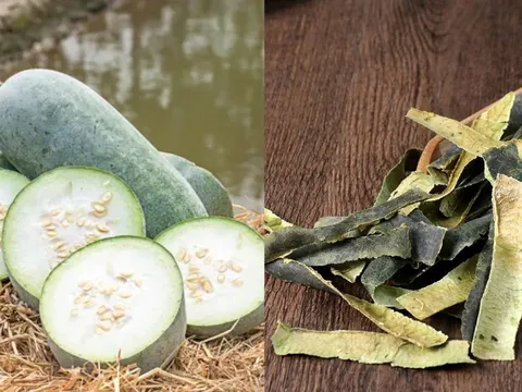 Vỏ bí đao (bí xanh) bị đem bỏ đi hóa ra lại là vị thuốc quý, mang lại 5 lợi ích đặc biệt