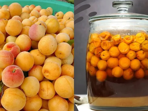 Mẹo ngâm mơ đường bằng nồi cơm điện, càng để lâu càng ngon, không bị nổi váng